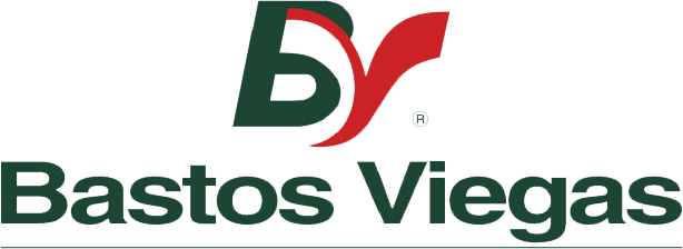 BASTOS VIEGAS
