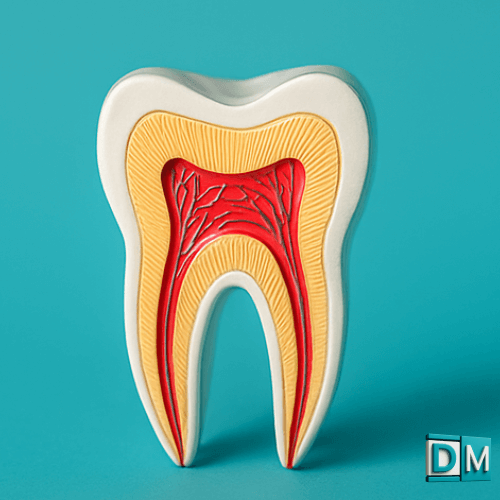Endodontics